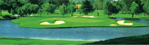 Golf Cruise 2013